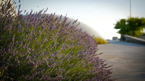 Styles et idées pour aménager votre salle de bain avec succès