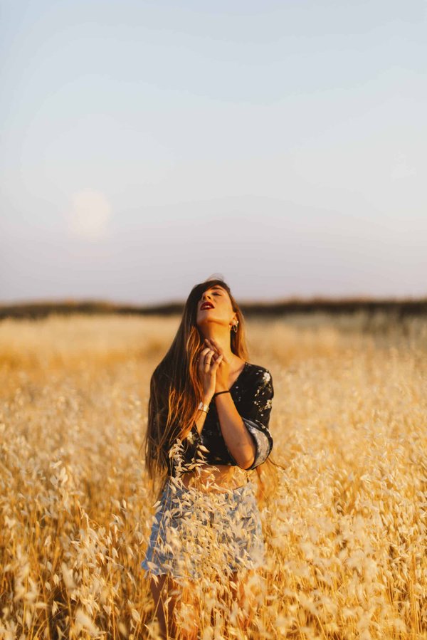 Quel modèle de tonnelle convient le mieux pour le jardin ?