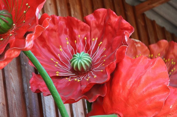 De la verdure dans vos pièces de vie grâce aux plantes artificielles